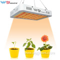 Quantum Board Grow Light 1000W